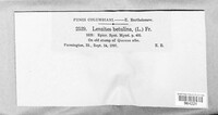 Image Associated With the Occurence